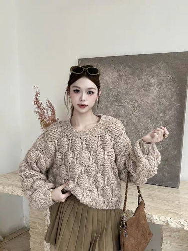 2025 Autumn/Winter New Fashion & Stylish Versatile Slimming Long-Sleeve Thick Hooded Sweater for Women with Design Sense Top