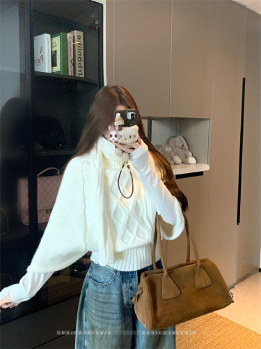 Photographed Design Autumn/Winter Loose Hooded Knit Top Women's Sweater
