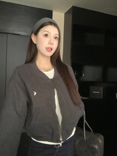 Actual shooting 2025 Autumn/Winter New Korean High-end Embroidered Fleece Stand Collar Jacket Loose Women's Casual Outerwear