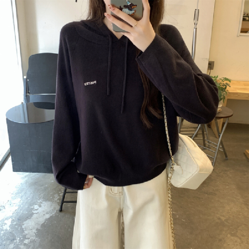 Photographed Autumn/Winter Korean Style Casual Loose Hooded Crew Neck Embroidered Andy Wool Knit Top Women's Base Knitwear