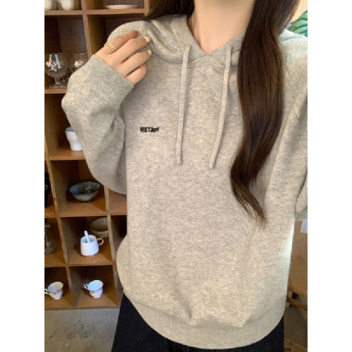 Photographed Autumn/Winter Korean Style Casual Loose Hooded Crew Neck Embroidered Andy Wool Knit Top Women's Base Knitwear