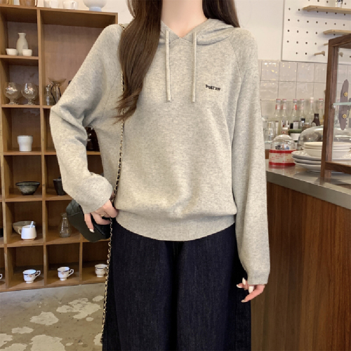 Photographed Autumn/Winter Korean Style Casual Loose Hooded Crew Neck Embroidered Andy Wool Knit Top Women's Base Knitwear