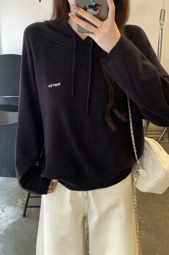Photographed Autumn/Winter Korean Style Casual Loose Hooded Crew Neck Embroidered Andy Wool Knit Top Women's Base Knitwear