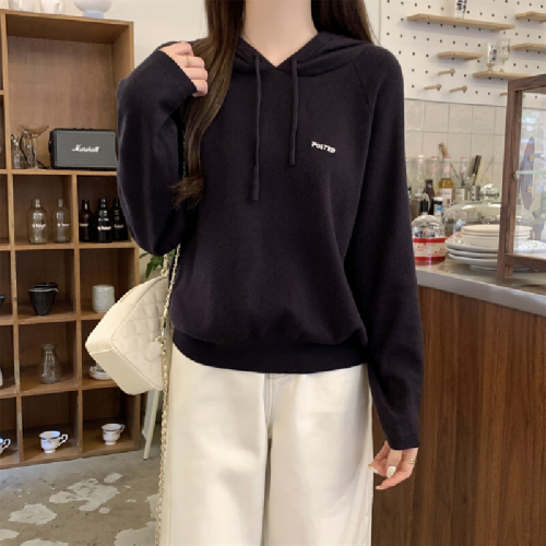 Photographed Autumn/Winter Korean Style Casual Loose Hooded Crew Neck Embroidered Andy Wool Knit Top Women's Base Knitwear
