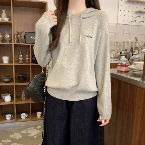 Photographed Autumn/Winter Korean Style Casual Loose Hooded Crew Neck Embroidered Andy Wool Knit Top Women's Base Knitwear