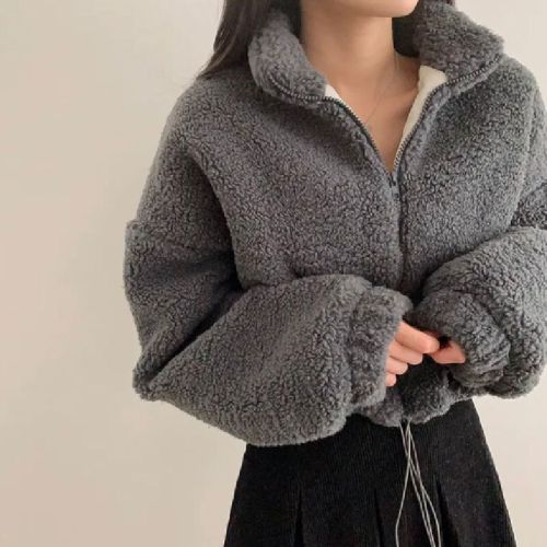 Chic Autumn/Winter New Arrival Elegant Stand Collar Zipper Plush Design Fashion Versatile Short Sleeve Cotton Jacket for Women from South Korea