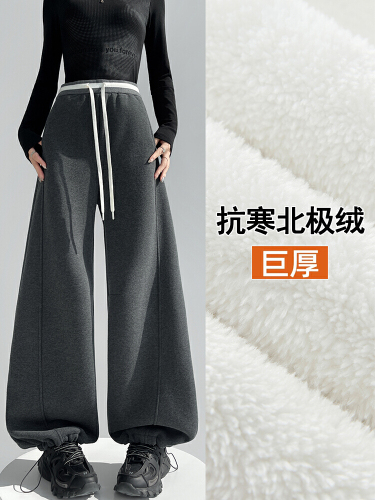 Women's 2025 Winter Cold-Resistant Arctic Wool Two-Way Wide Leg Pants, High-Waisted, Flowy, Versatile, Slimming, Warm, Casual, Sporty