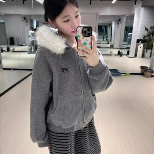 Women's Grey Fleece Hooded Sweatshirt with Embroidery for Autumn/Winter 2025, Loose Fit, Ins Style Casual Top