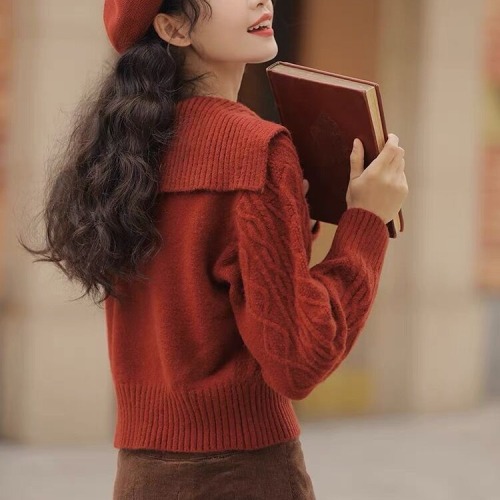 Vintage Soft V-Neck Sweater, High-Waisted Short-Sleeve Hooded Knit Top for Women, 2025 Winter