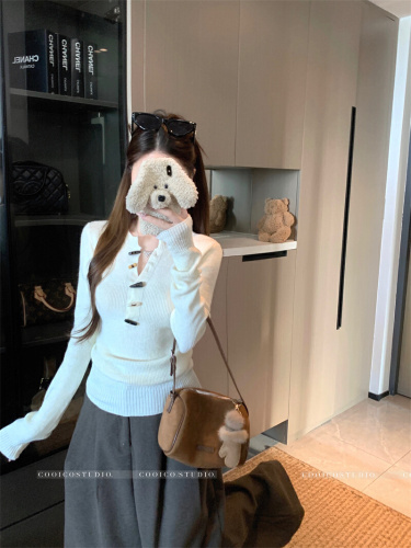 Photographed 2025 New Winter Casual High-End Layering Top Long-Sleeve Design Knit Shirt