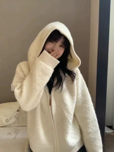 Korean Autumn/Winter New Arrival Korean Dongdaemun Everyday Casual Matchable Circle Knit Hooded Zipper Jacket Top