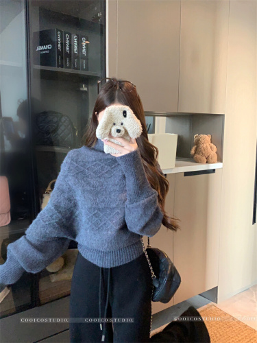 Photographed Embroidered Batwing Sleeve Hooded Sweater for Women, High Collar Slimming Waist Top, Relaxed and Slender Knitwear