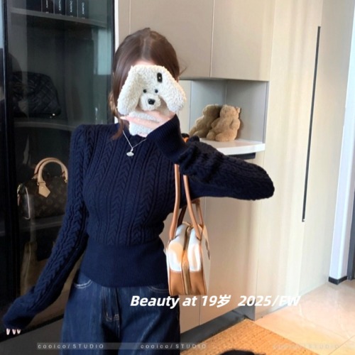 Korean-style chic turtleneck cable-knit sweater for women, autumn/winter 2025 new arrival, slim-fit and figure-flattering, solid color, long sleeves, thick.