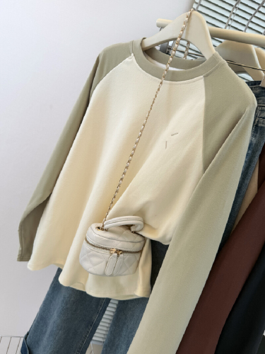 Shot Design Style Small Number Embroidered Long Sleeve T-Shirt for Women Autumn and Winter Loose Inner Layer Base Shirt with Fleece and Napped Fabric