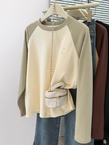 Shot Design Style Small Number Embroidered Long Sleeve T-Shirt for Women Autumn and Winter Loose Inner Layer Base Shirt with Fleece and Napped Fabric