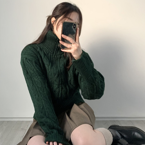 Korean-style half-length ribbed cable knit zip-up hoodie top, plain color minimalist turtleneck sweater