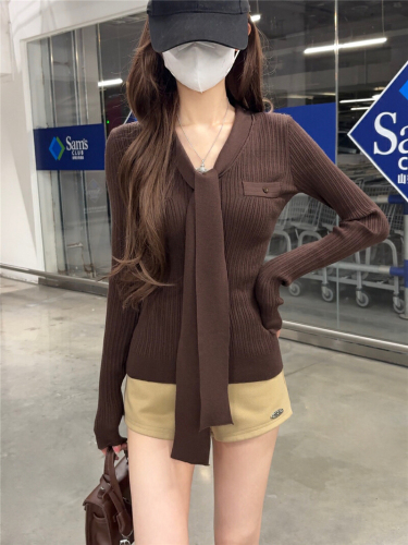 Photographed Korean-style atmosphere early autumn outfit 2025 new design sweater extremely good-looking design sweater