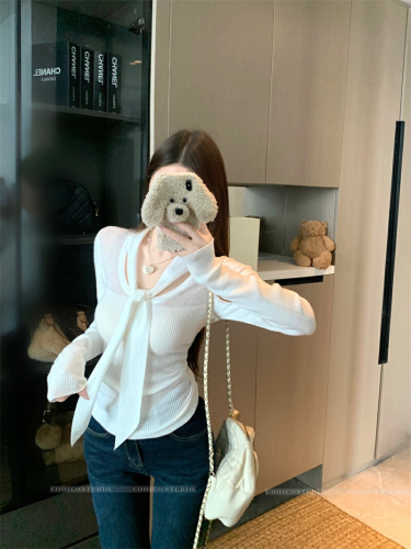 Shooted Design Sense Sheer Knoted Slimming Outerwear Knit Top for Women to Wear Underneath