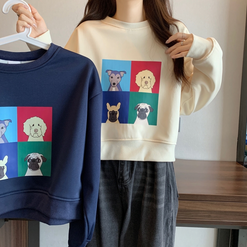 Real shot velvet thickening 400g composite silver fox velvet hooded sweater women's autumn and winter warm clothes