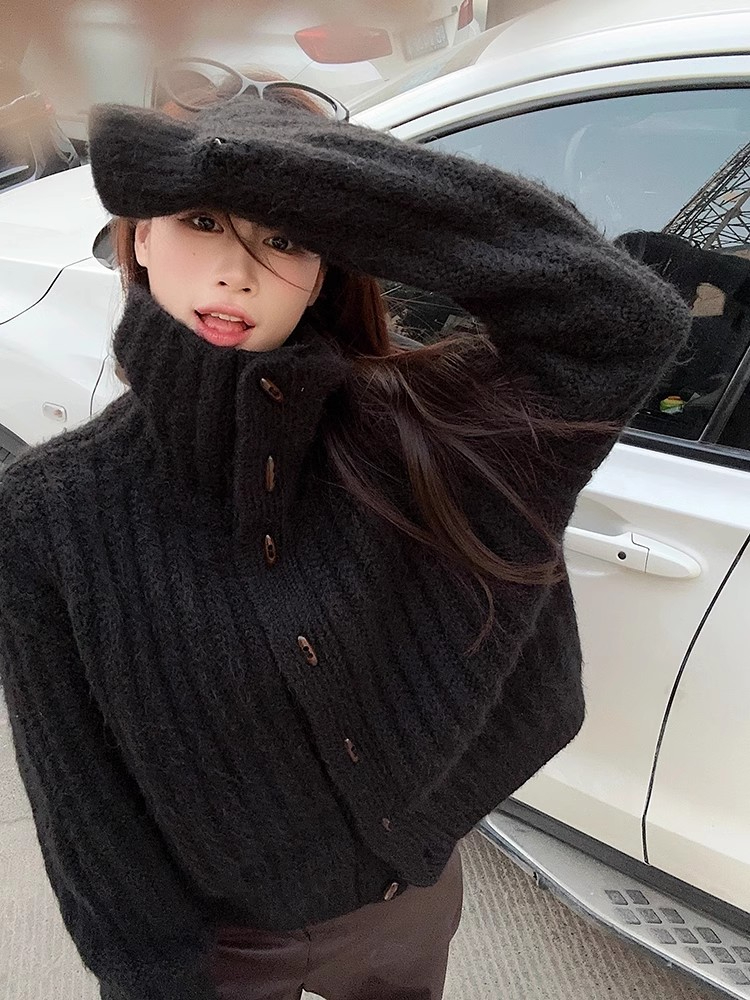 Women's Autumn Korean Version 2024 New Soft and Plump Thick Stand Collar Loose Long Sleeve Knit Top with Ox Horn Button