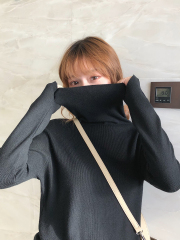 High neck sweater women's loose wear spring and autumn 2020 new versatile T-shirt with pile collar and bottom