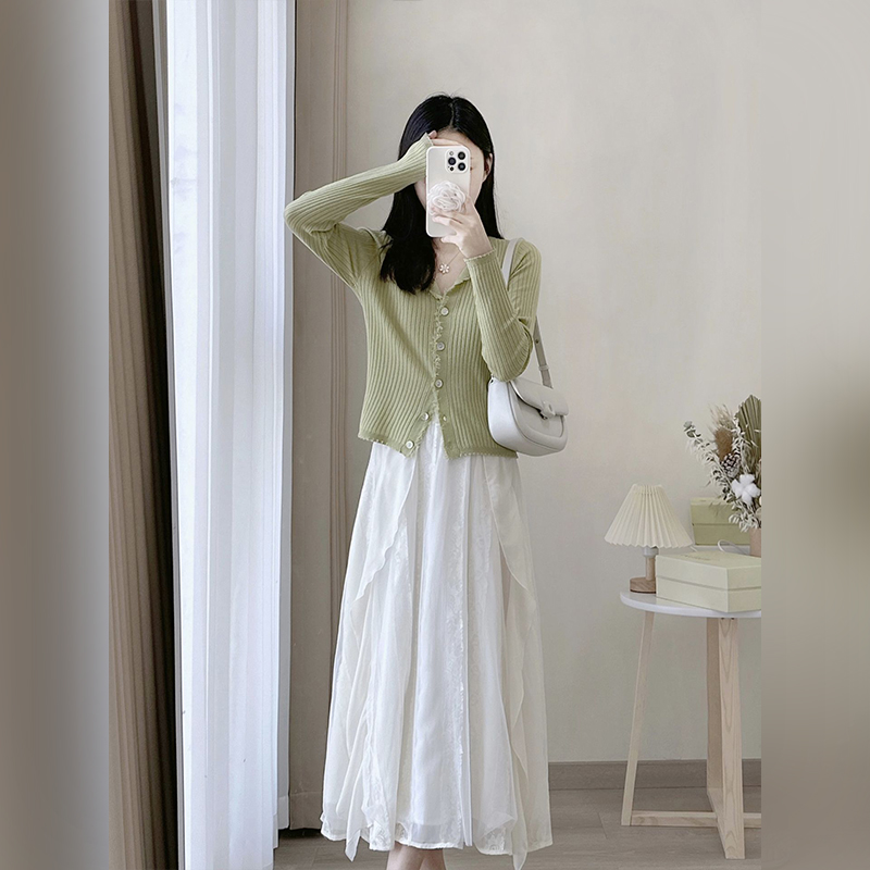 Small high-end suit skirt for women early spring new style tea break French platycodon gentle style dress