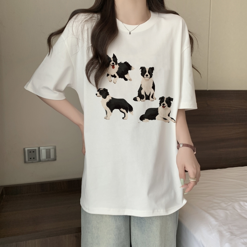 Real shot pure cotton bottoming shirt 2023 summer new niche bm Korean version top ins short-sleeved T-shirt female
