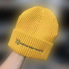 Versatile fashion letter embroidered wool hat children's autumn and winter warm King show thin knitted hat couple cold hat fashion hat