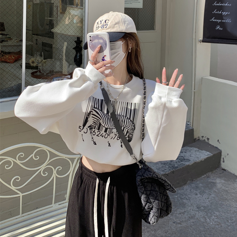 Official map round neck sweater women's autumn 2022 new retro hot girl style short super hot capless long-sleeved top