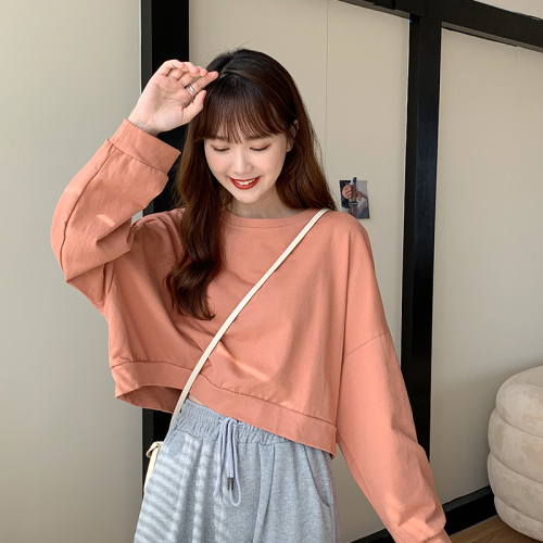 Real shot 6535 mackerel autumn and winter new Korean academic style short sweater women's long sleeve loose BF style