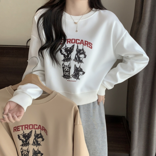 Real shot plus velvet thickening 400g composite silver fox velvet small short sweater women's autumn and winter clothes