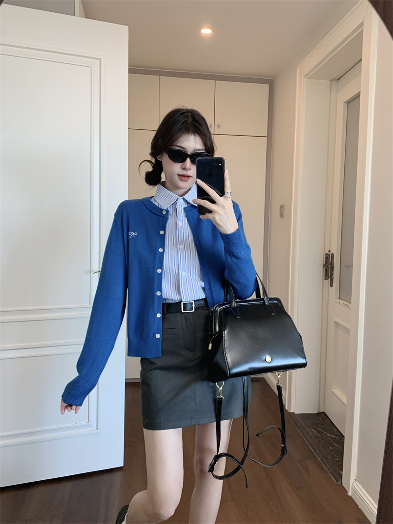 Photographed Early Autumn Blue Embroidered Knit Cardigan + Striped Shirt + Gray High-Waisted Skirt Set