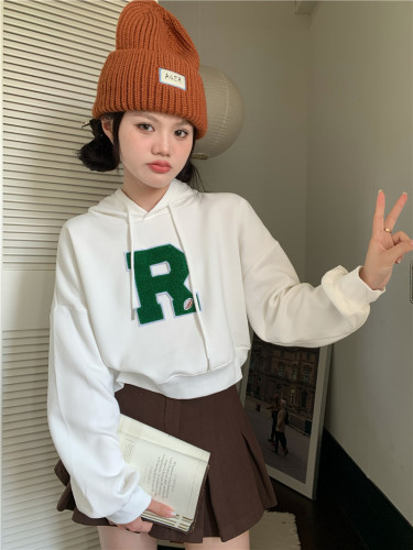 Real Auction Real Price American Loose Letter Embroidered Long Sleeve Hooded Thickened Sweater