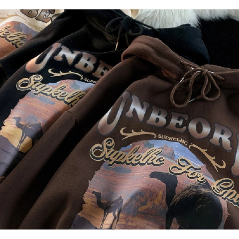 Fleece thickened hooded sweater female student Korean style loose top autumn and winter coat