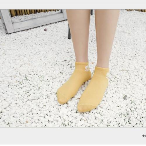 Spring and summer 2020 new ship socks women's Day series cartoon women's socks small daisy cotton embroidery women's socks