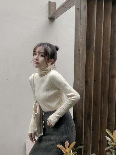 Zeng Xiaoxian, autumn and winter, black inside with high neck sweater, women's pile neck bottoming shirt, slim knit top