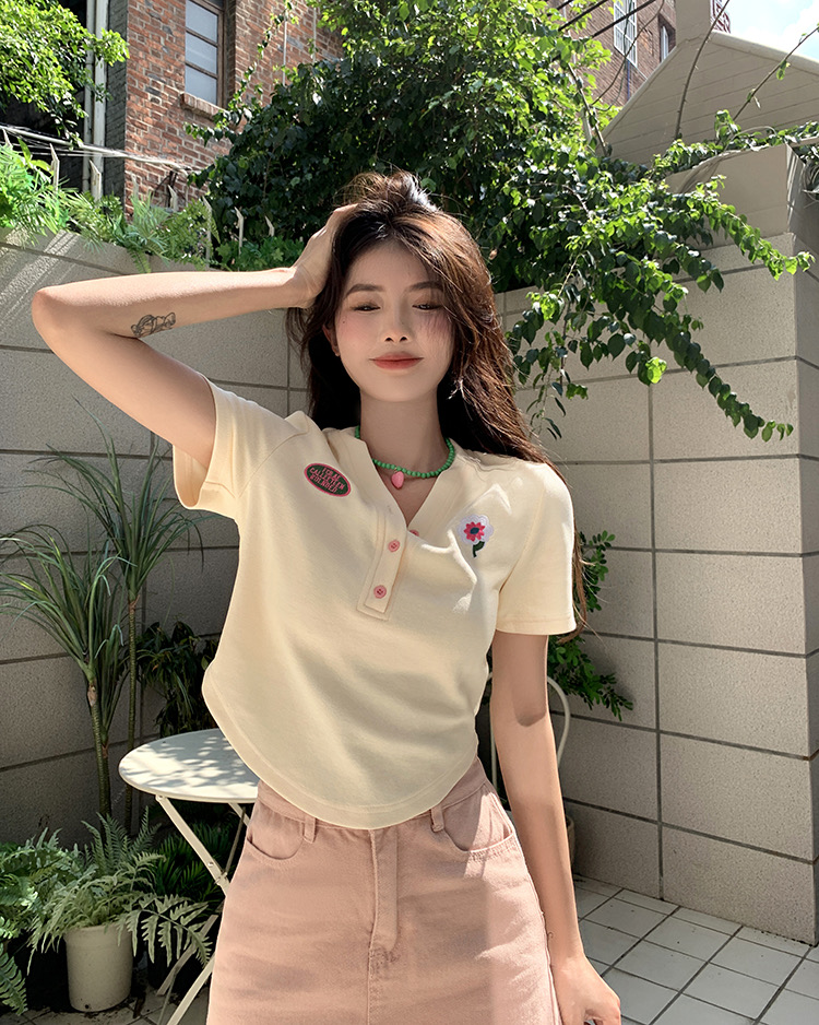 V-neck short-sleeved t niche summer slimming chic irregular short top