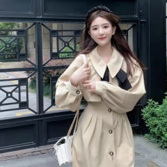 French long sleeve dress women's design sense of minority new spring and autumn short skirt shows thin temperament skirt