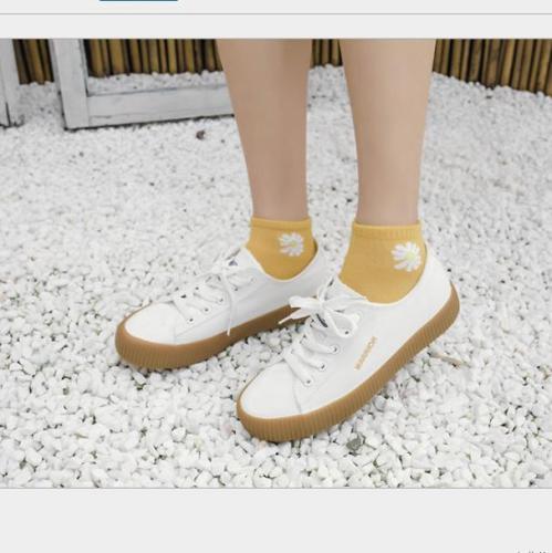 Spring and summer 2020 new ship socks women's Day series cartoon women's socks small daisy cotton embroidery women's socks