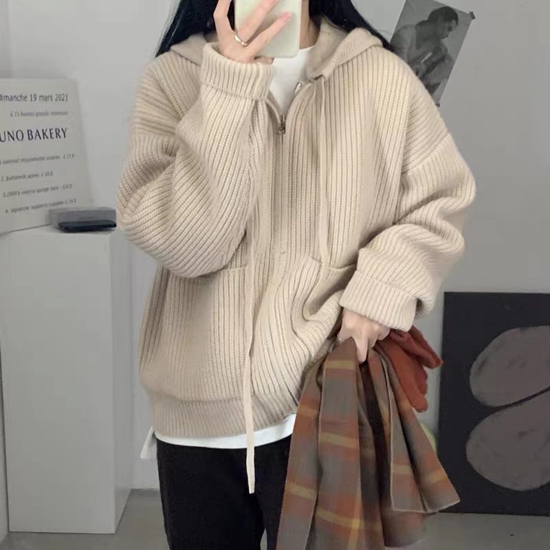 Korean version lazy Hong Kong style retro trendy raccoon velvet cardigan sweater coat women's autumn and winter foreign style design sense niche