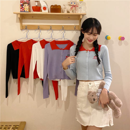 Korean fashion long sleeve embroidered thin T-shirt with real price and real shot