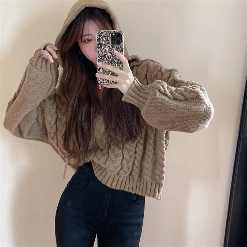 2023 autumn and winter new twist sweater design sense niche hooded short knitted sweater top women's clothing