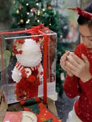 Jennifer Flower Preserved Flower Santa Claus Preserved Flower Snowman Preserved Flower Violent Bear