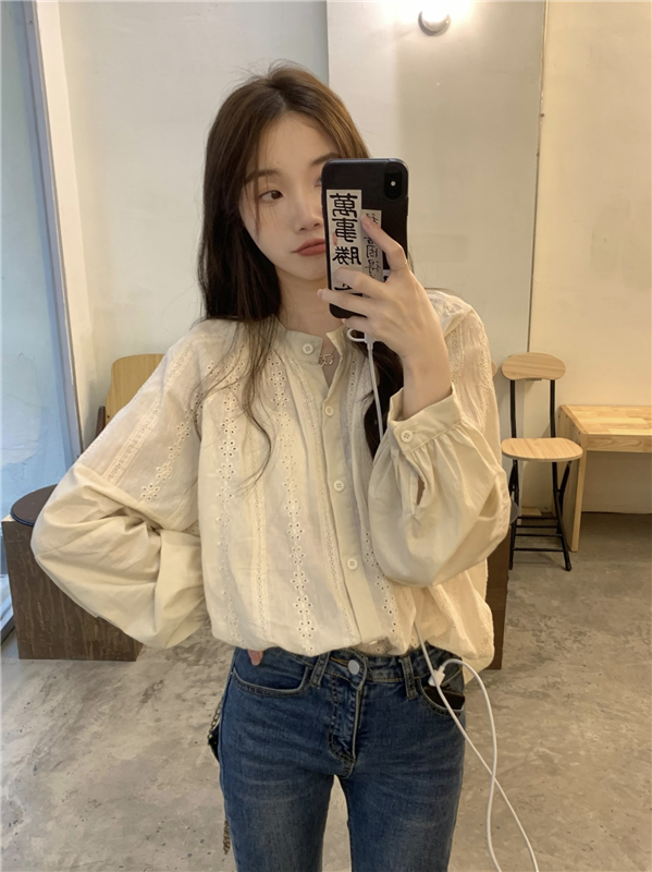 Real price!  French retro design sense lace embroidery round neck shirt women's loose temperament long-sleeved top