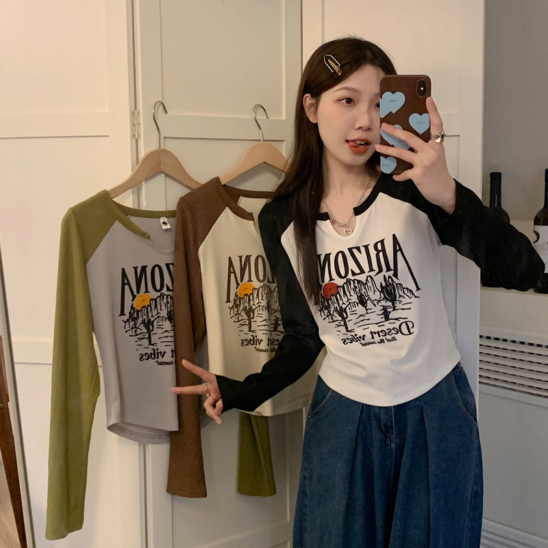 Long-sleeved t-shirt women's autumn new v-neck bottoming shirt fat mm letter print with short top