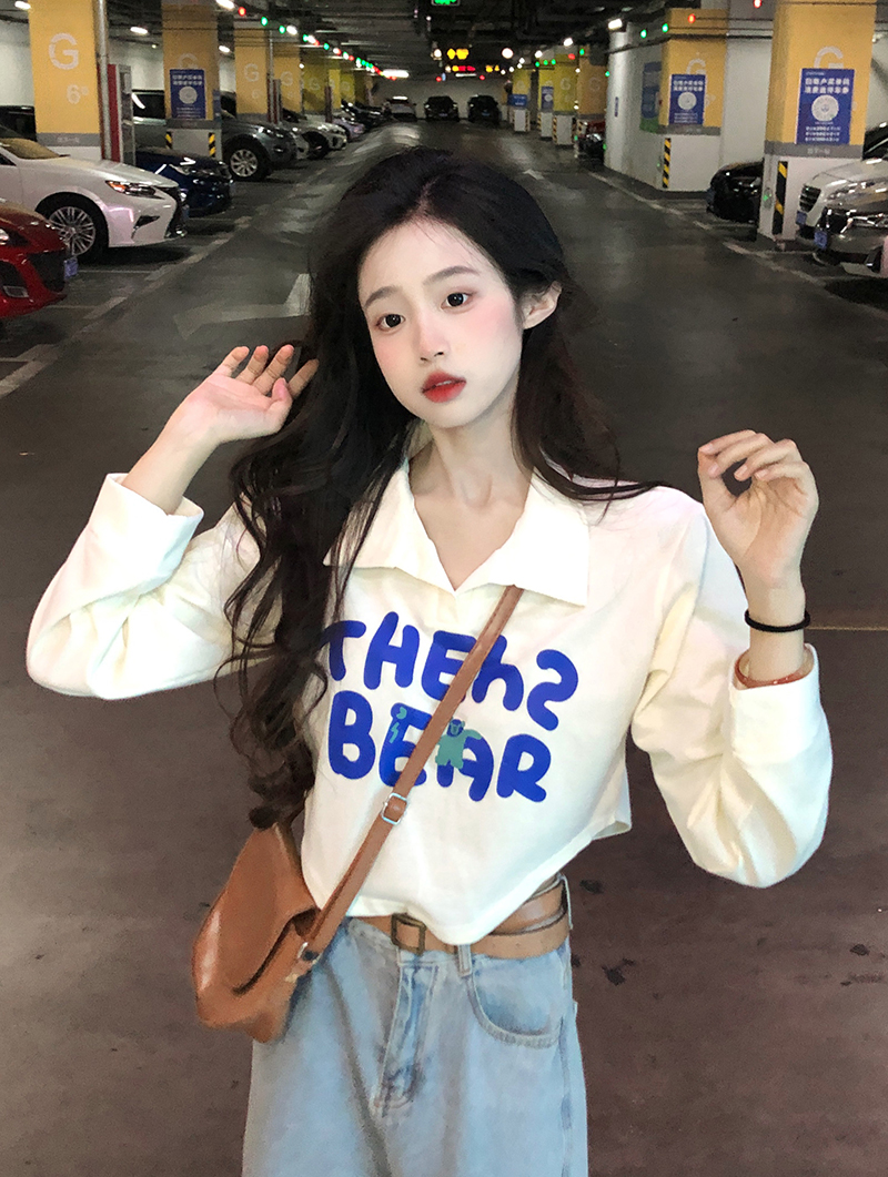 !  Our shop!  Real auction price!  cartoon letter print polo collar short sweater autumn