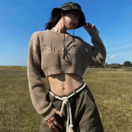 2022 autumn new Korean version round neck solid color embroidered loose high waist long sleeve top