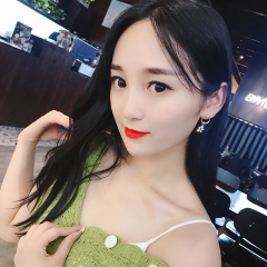 Earrings New Fashion Earrings female South Korean temperament net red long French style star earrings earrings earrings