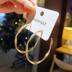 Real shot European and American exaggerated big circle cool wind Earrings female versatile temperament S925 silver needle Fashion Earrings