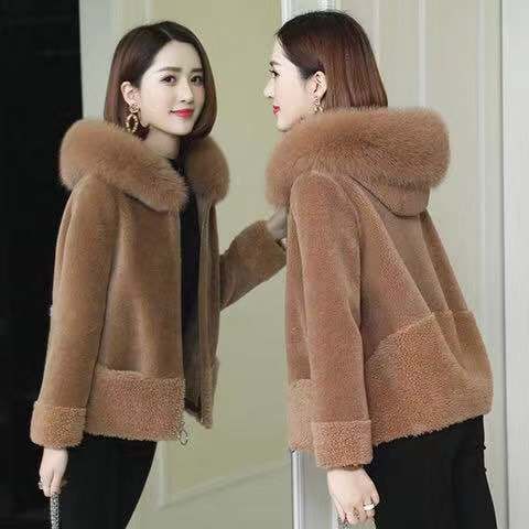 Haining fur imitation coat women's short style fall / winter 2020 new Korean version of fox like wool collar sheep shear granular fleece coat